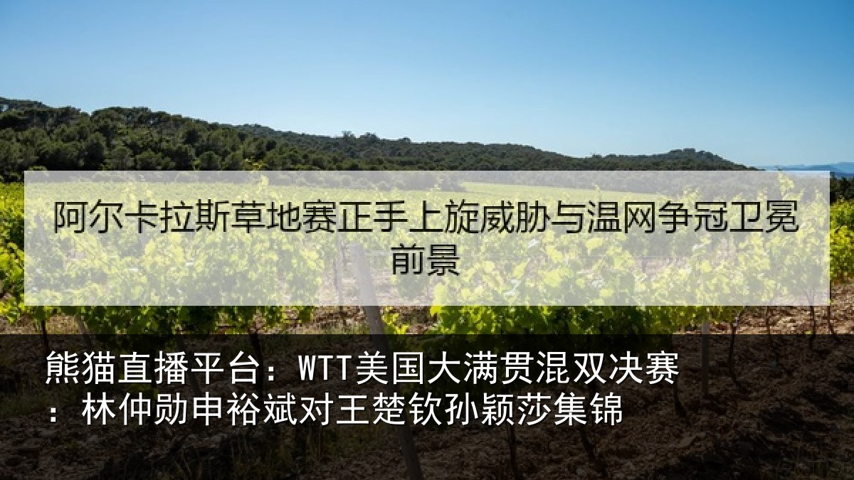 熊猫直播平台：WTT美国大满贯混双决赛：林仲勋申裕斌对王楚钦孙颖莎集锦