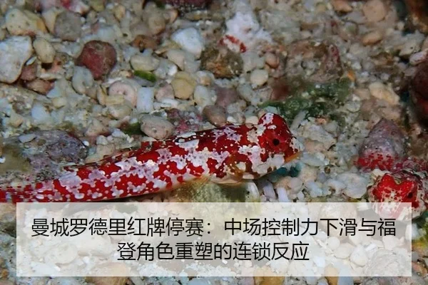 man-cheng-luo-de-li-hong-pai-ting-sai-zhong-chang-kong-zhi-li-xia-hua-yu-fu-deng-jue-se-zhong-su-de-lian-suo-fan-ying-2-116.jpg